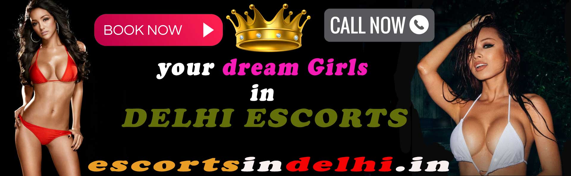 About Call Girls Services Delhi